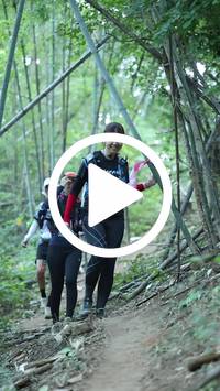 BIB:  <button type="button" onclick="openModal(28041466)" class="btn btn-primary btn-sm float-right" data-toggle="modal" data-target=".modal-high-quality">
                <i class="fa fa-download"></i> Download
                </button>